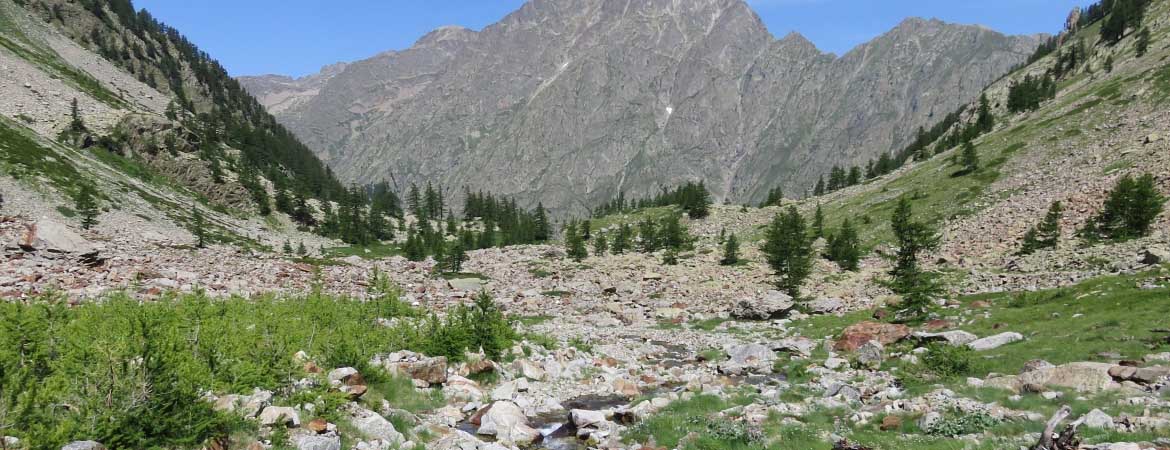 valle_gesso_interna